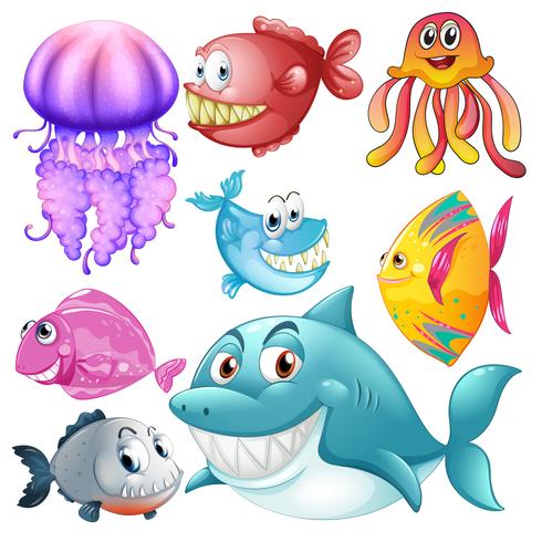 Diversi tipi di animali marini vettore