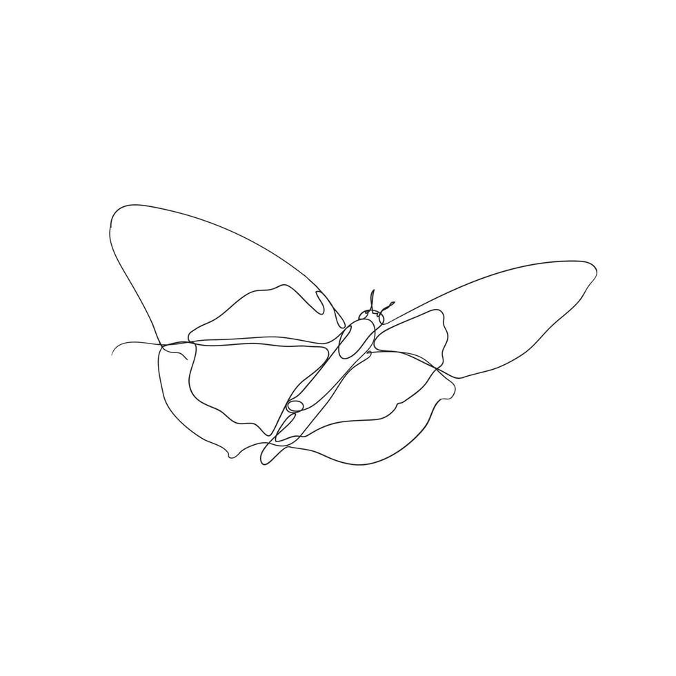 vettore dell'illustrazione della farfalla del disegno a tratteggio continuo isolato