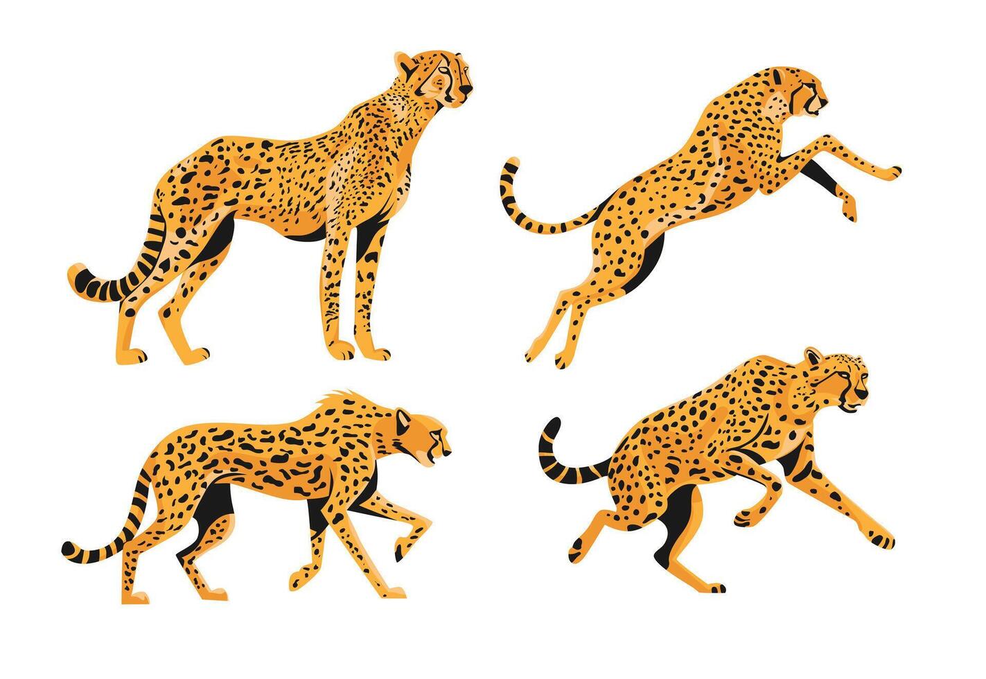 illustrazione di il ghepardo animale vettore