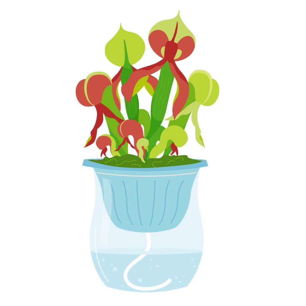 semplice design di se stesso irrigazione sistema, stoppino irrigazione per in vaso pianta. in crescita un' carnivoro fiore con specializzato le foglie mentre su vacanza. fiori illustrazione isolato su bianca sfondo vettore