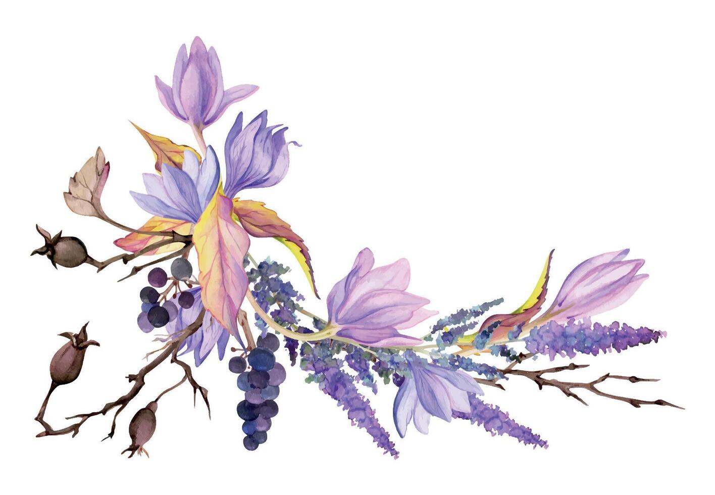 mano disegnato acquerello illustrazione squallido boho botanico fiori le foglie. croco zafferano rosa anca veronica lavanda frutti di bosco. composizione isolato su bianca sfondo. design nozze, floreale negozio, carte vettore