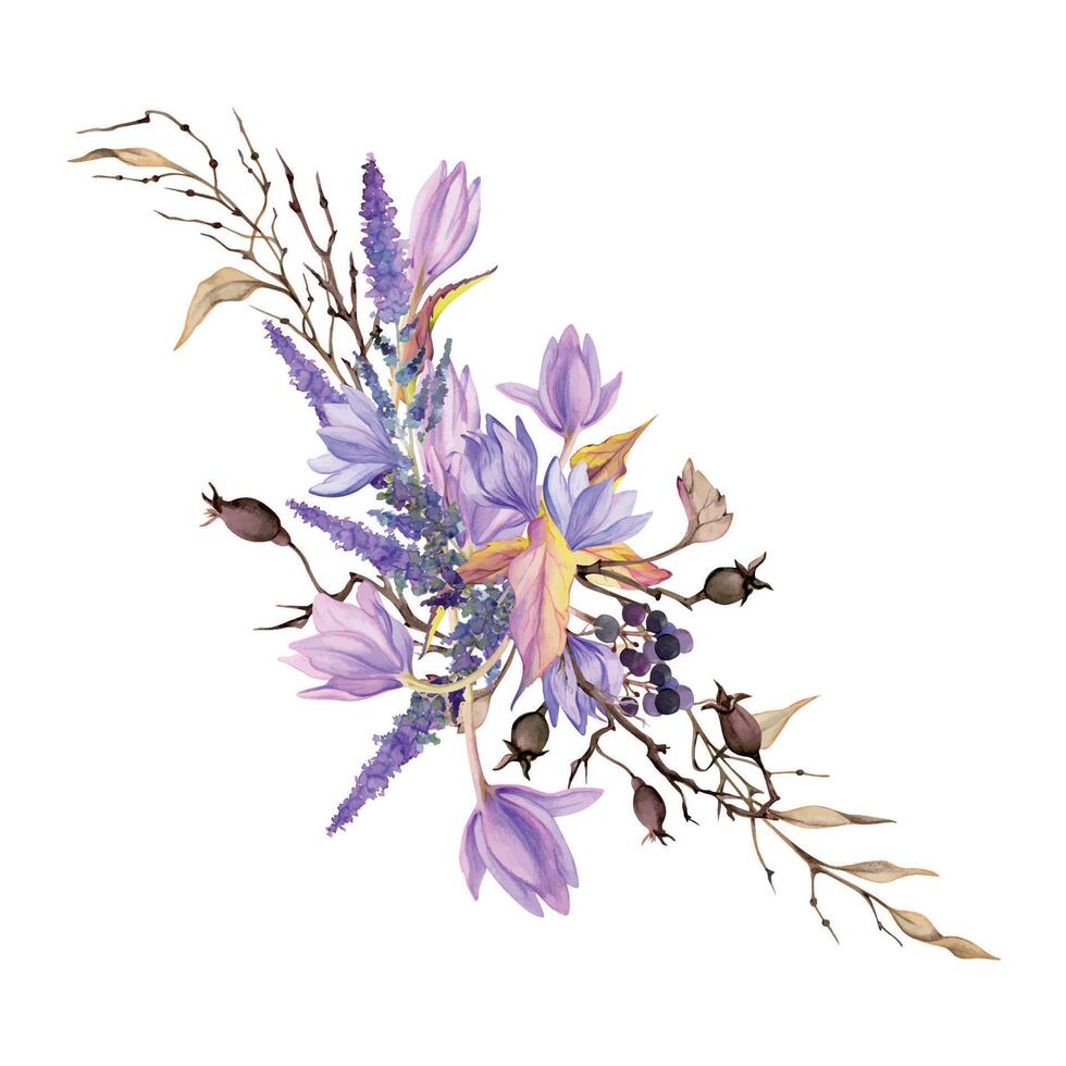 mano disegnato acquerello illustrazione squallido boho botanico fiori le foglie. croco zafferano rosa anca veronica lavanda frutti di bosco. mazzo isolato bianca sfondo. design nozze, regalo carte, floreale negozio vettore