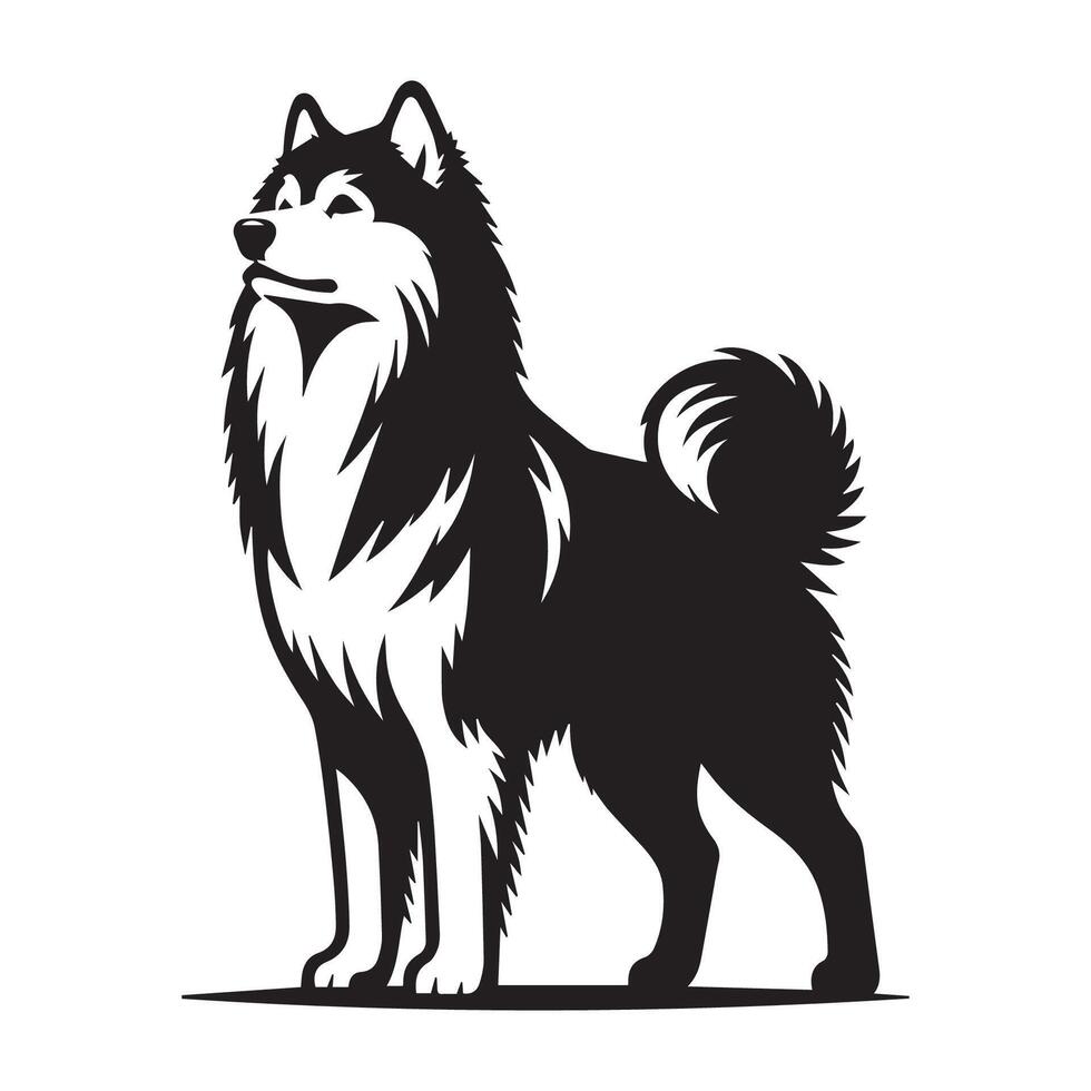 illustrazione di un' siberiano rauco cane nobile nel nero e bianca vettore