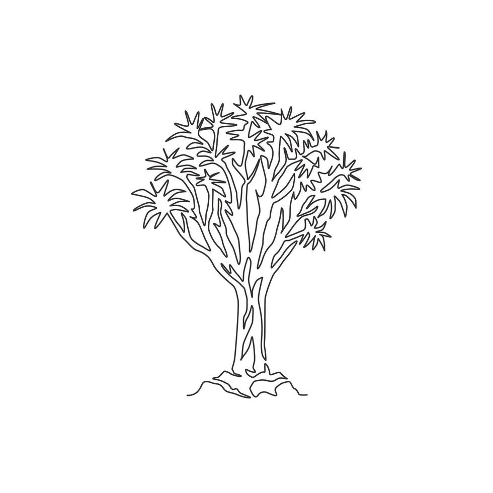 un disegno a tratteggio continuo di una foresta di alberi faretra. albero decorativo kokerboom woud per il logo del parco nazionale. concetto di vacanza di viaggio e tour. illustrazione grafica vettoriale di design a linea singola alla moda