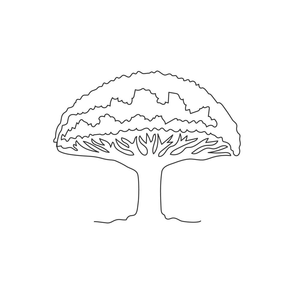 singolo disegno a tratteggio della bellezza e dell'esotico albero del drago di socotra. albero decorativo a forma di ombrello per cartoline di auguri. turismo e viaggi. illustrazione vettoriale di disegno di disegno di linea continua moderna
