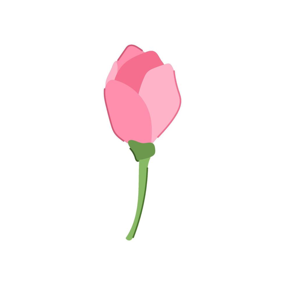 ramo sakura ciliegia fiorire cartone animato illustrazione vettore