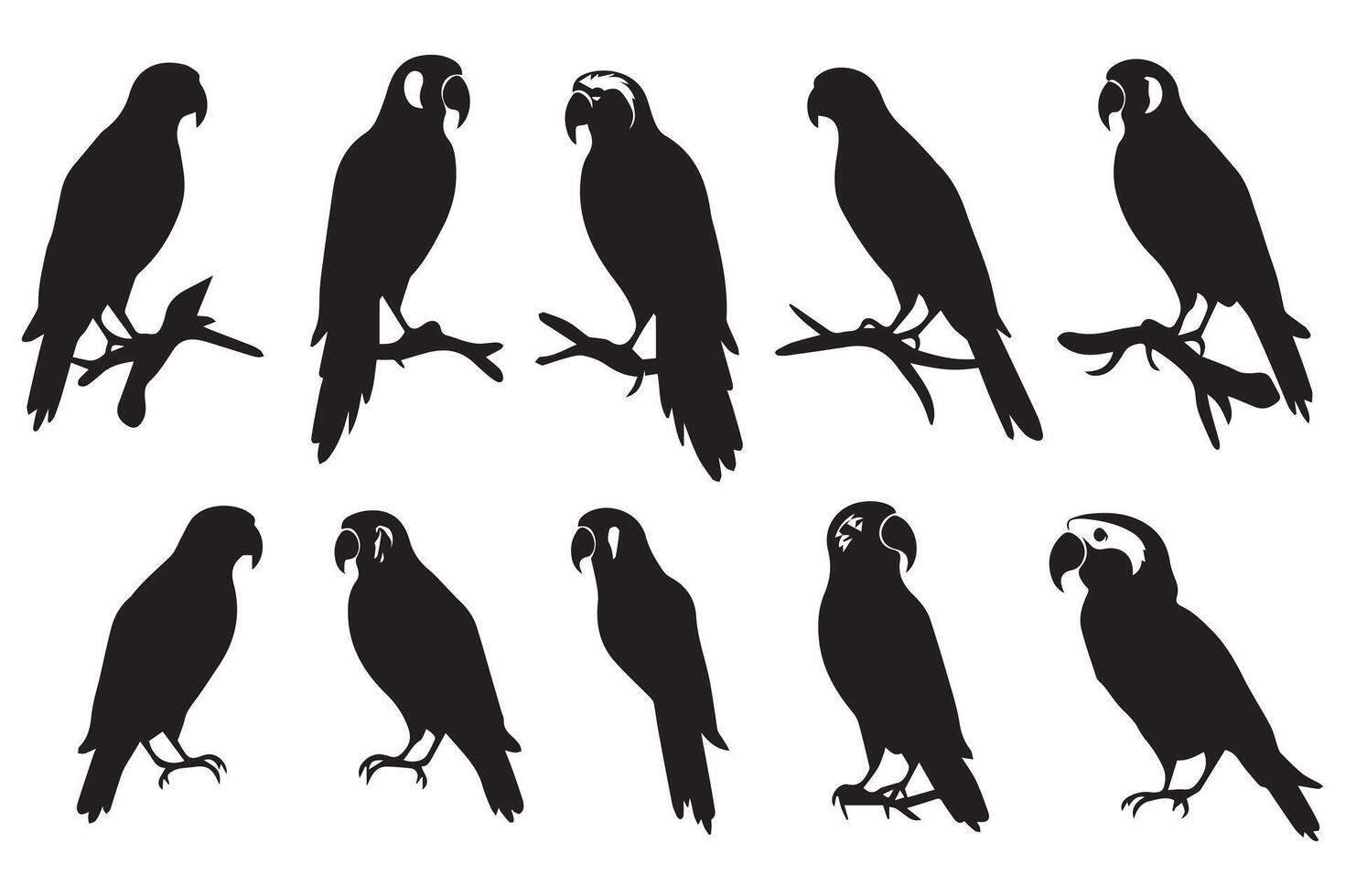 impostato di silhouette pappagalli gratuito design vettore