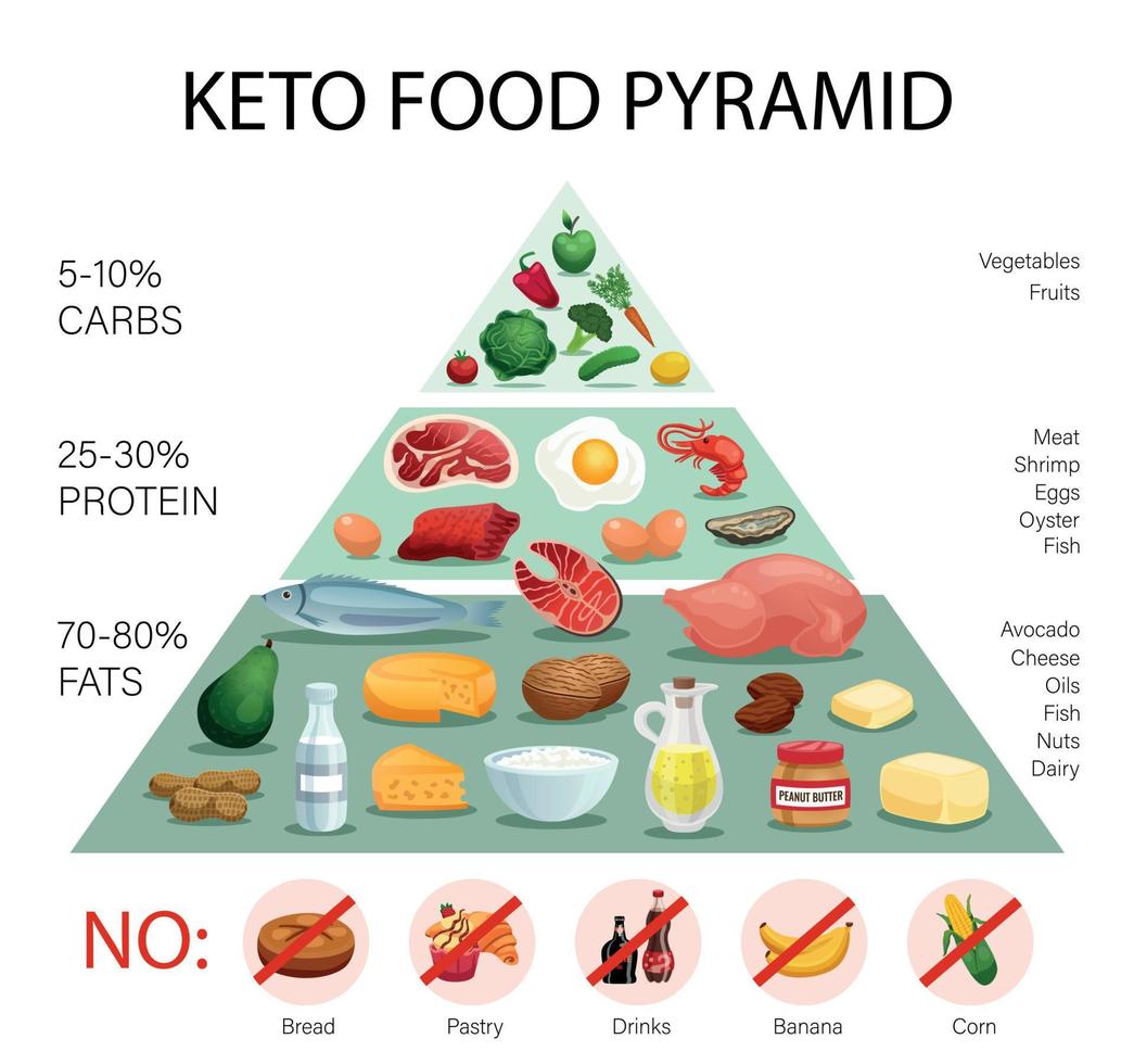 piramide della dieta cheto vettore