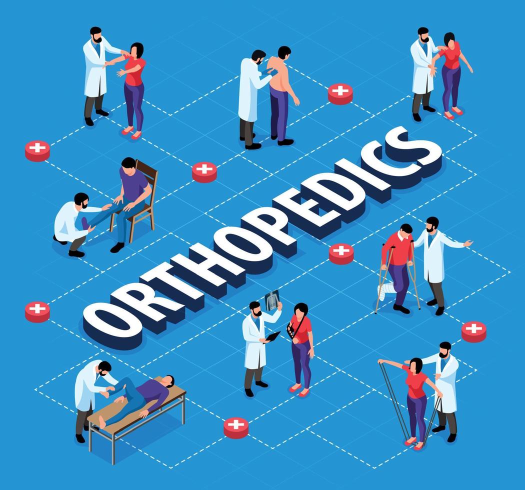 diagramma di flusso isometrico di ortopedia vettore
