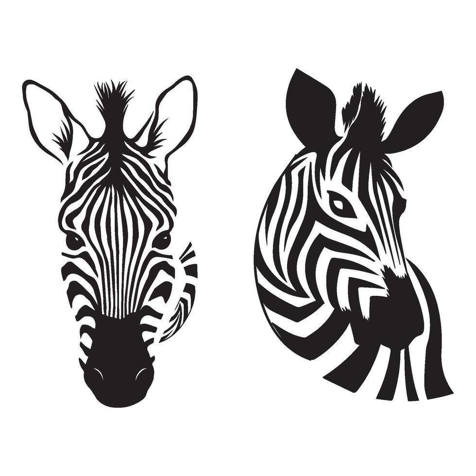 zebra animale illustrazione, natura conservazione nero e bianca strisce illustrazione vettore