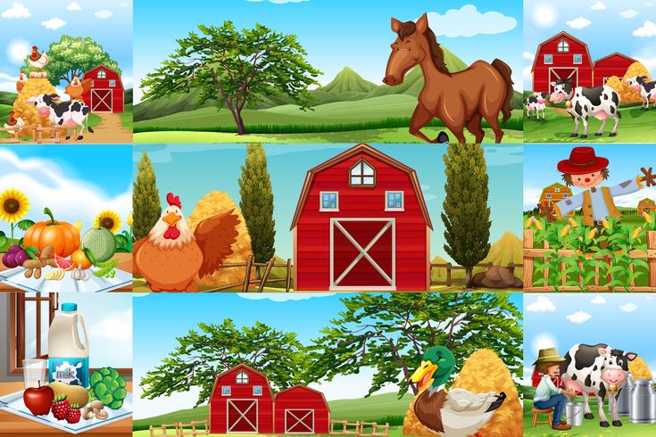 Scene di fattoria con molti animali e contadini vettore