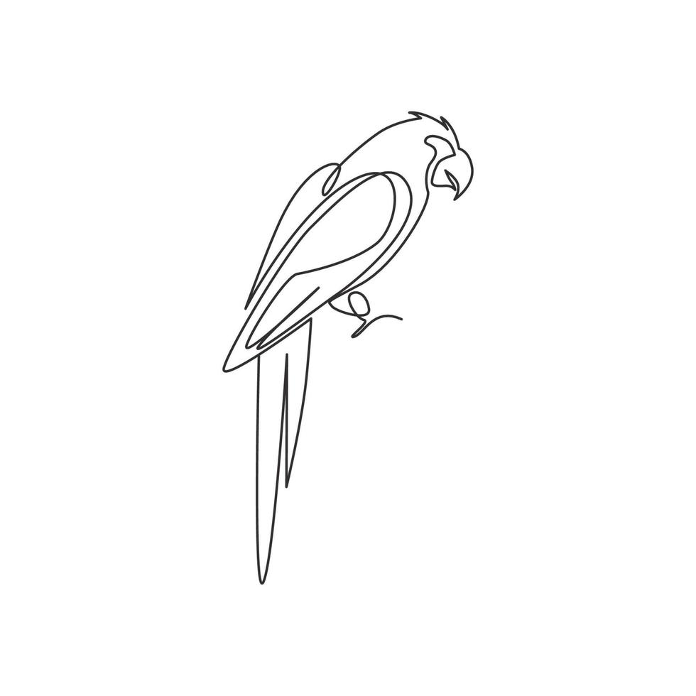 disegno a linea continua di un pappagallo intelligente e divertente per l'identità del logo aziendale. concetto di mascotte animale volante per l'icona del club amante degli animali domestici. illustrazione grafica vettoriale moderna di disegno di una linea di disegno