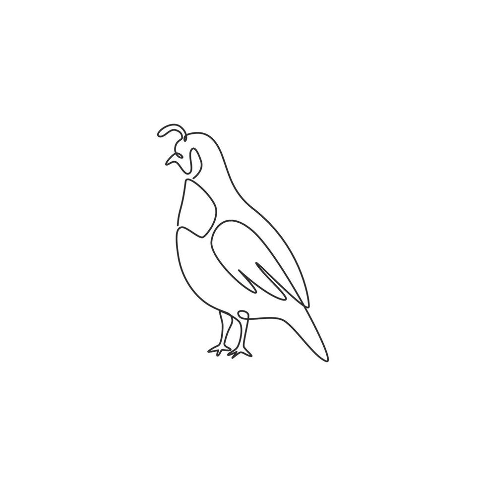 un disegno a tratteggio dell'adorabile quaglia della valle della California per l'identità del logo del pollame. concetto di mascotte dell'uccello del bagno di polvere per l'icona dello zoo nazionale. illustrazione vettoriale di disegno di disegno di linea continua moderna