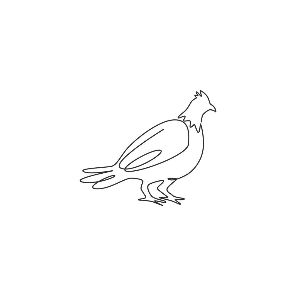 disegno a linea continua di un simpatico gallo cedrone per l'identità del logo aziendale. concetto di mascotte del festival degli uccelli di gioco per l'icona della cultura del regno unito. illustrazione grafica vettoriale moderna di disegno di una linea di disegno