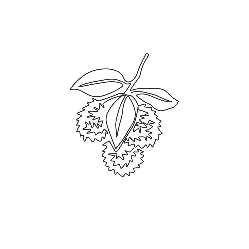 un unico disegno a tratteggio di rambutan organici sani interi per l'identità del logo del frutteto. concetto di frutta tropicale fresca per l'icona del giardino di frutta. illustrazione vettoriale di disegno di disegno di linea continua moderna