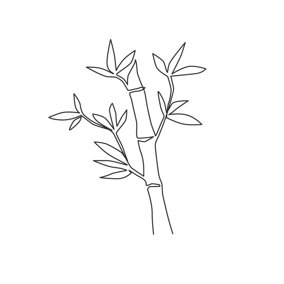 un disegno a tratteggio di alberi di bambù per l'identità del logo della piantagione. concetto di pianta da fiore perenne sempreverde fresca per l'icona della pianta. illustrazione vettoriale di disegno grafico a linea continua moderna