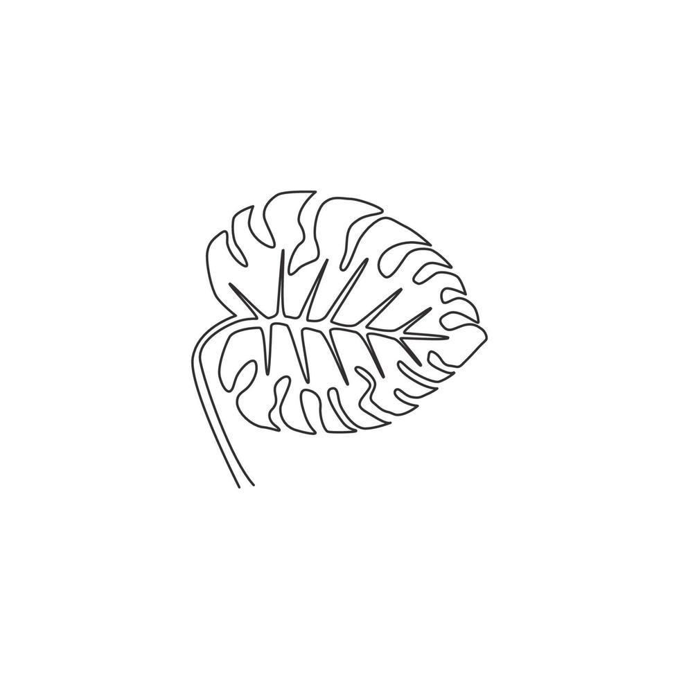 un disegno a tratteggio carino pianta di monstera foglia tropicale di bellezza carina. concetto di pianta d'appartamento decorativo stampabile per l'ornamento della decorazione della parete di casa. illustrazione vettoriale di disegno grafico a linea continua moderna