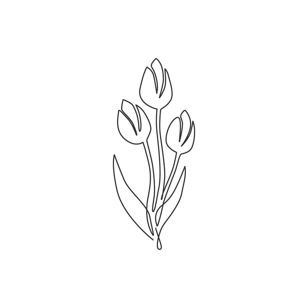 disegno a linea continua di un tulipano fresco di bellezza per l'identità del logo del giardino. concetto decorativo del fiore di nazionalità olandese per il tessile di moda. illustrazione vettoriale di design moderno a una linea di disegno