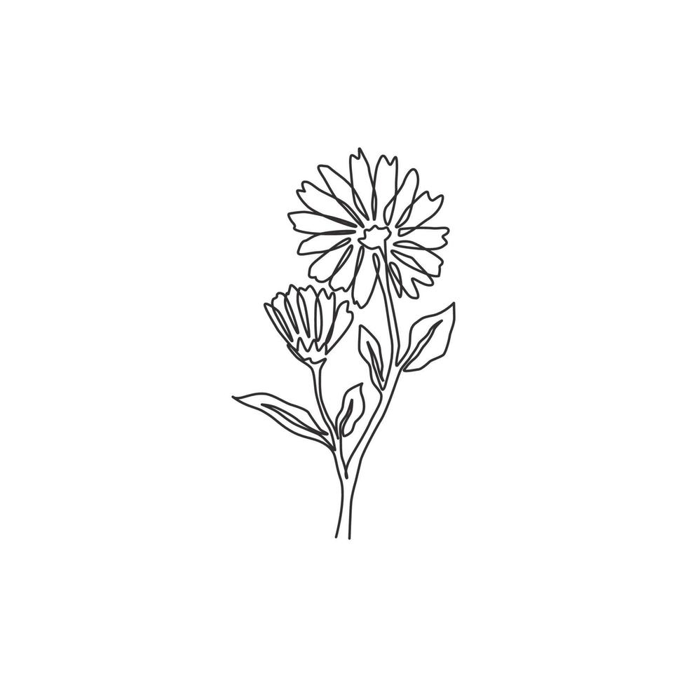 un disegno a linea continua di calendula fresca di bellezza per il logo del giardino. concetto di fiore di calendula decorativo stampabile per la decorazione della parete di casa poster art. illustrazione vettoriale di design moderno a linea singola