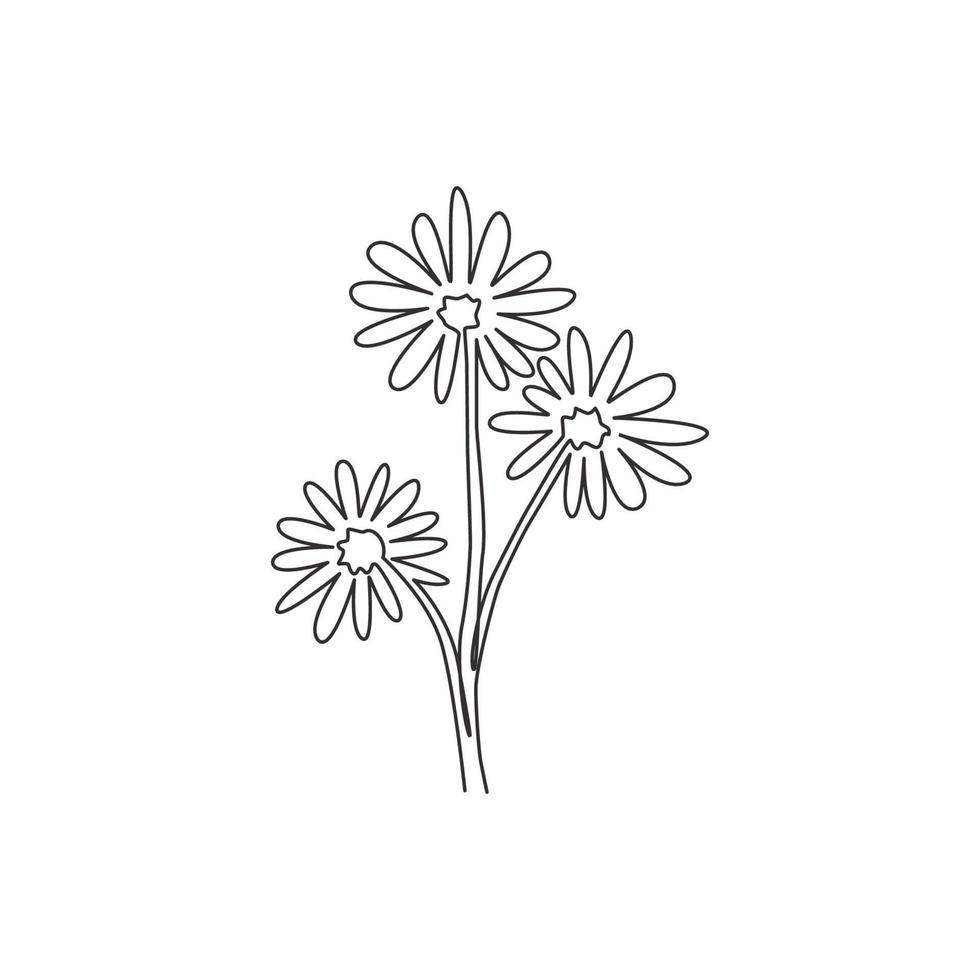 disegno a tratteggio singolo bellezza fresca astereae per la decorazione della parete poster per la casa. concetto di fiore decorativo stampabile aster per ornamento biglietto di auguri. illustrazione vettoriale di disegno di disegno di linea continua moderna