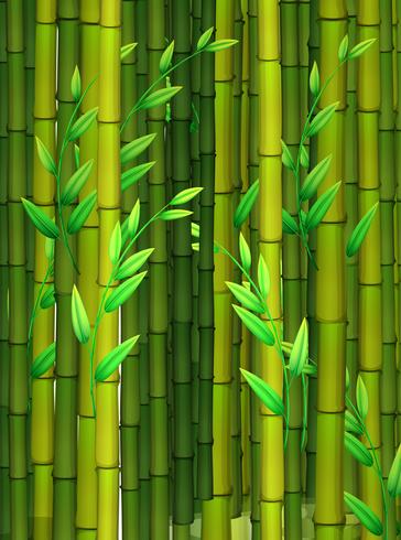 Sfondo senza soluzione di continuità con bambù verde vettore