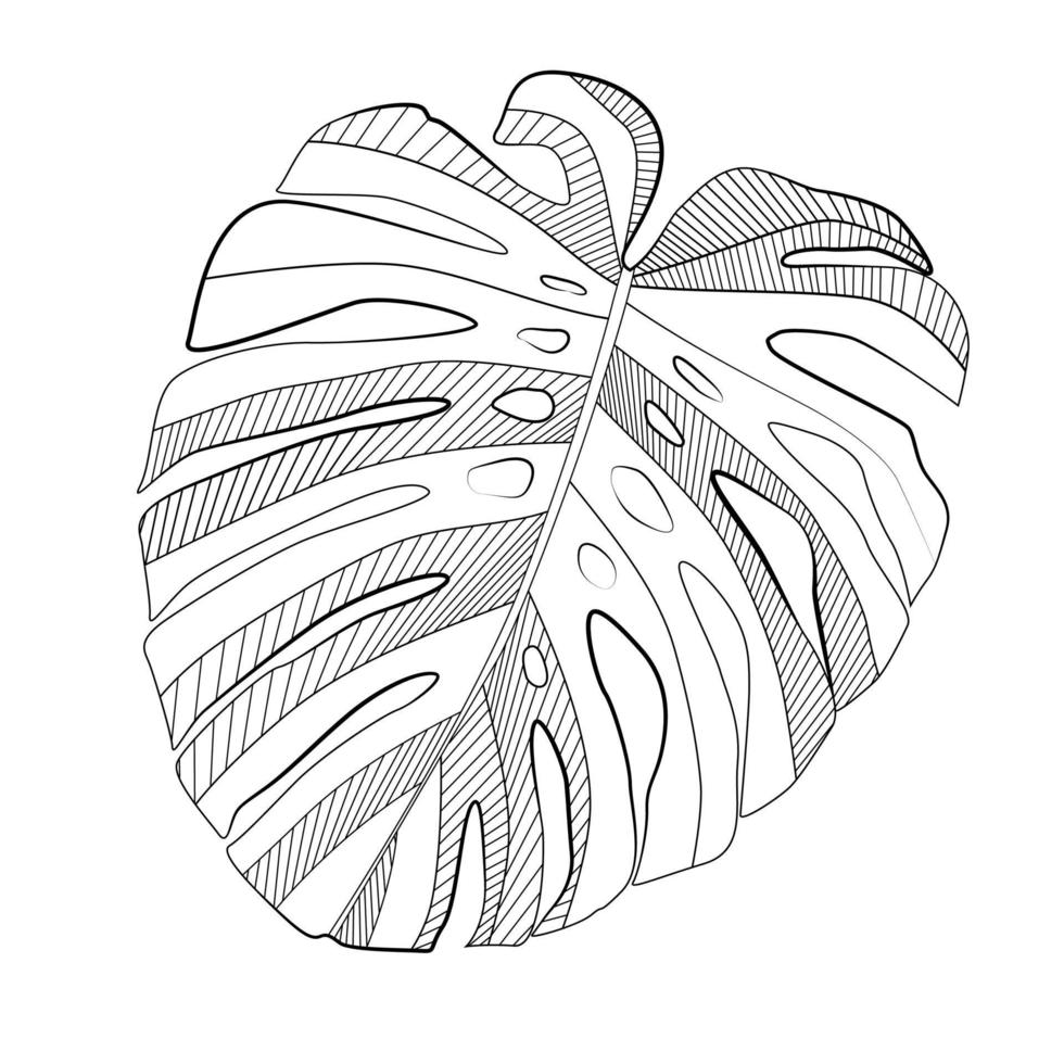 foglia di monstera tropicale astratta. illustrazione vettoriale