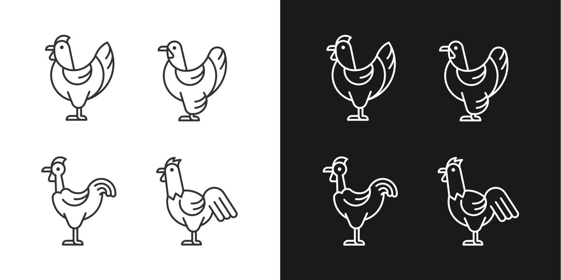 icone lineari di razze di pollo impostate per la modalità scura e chiara. brahma gallina. pollo della transilvania. gallina e gallo. simboli di linea sottile personalizzabili. illustrazioni di contorno vettoriale isolato. tratto modificabile