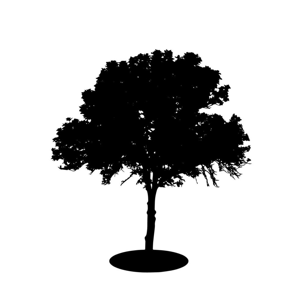 sagoma di albero isolato su sfondo bianco. illustrazione vettoriale. vettore