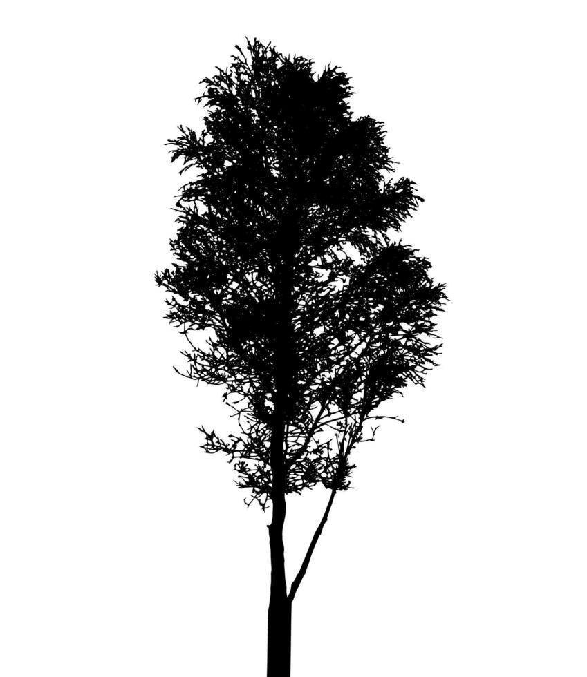 sagoma di albero isolato su sfondo bianco. illustrazione vettoriale