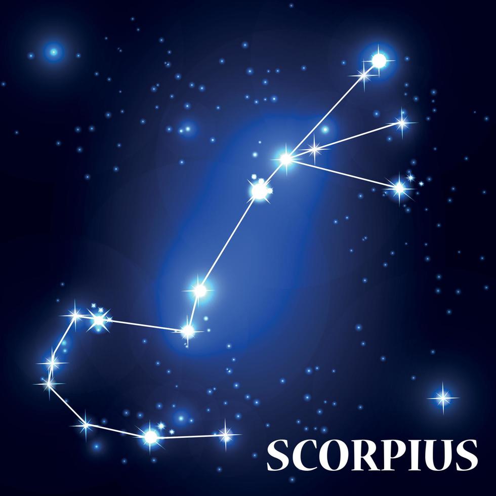 simbolo segno zodiacale scorpione. illustrazione vettoriale. vettore