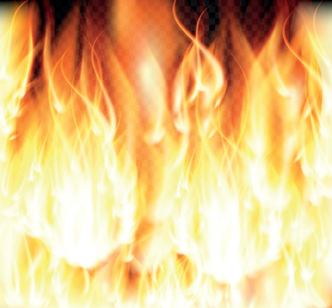 fuoco ardente fiamme speciali effetto luce su sfondo trasparente. illustrazione vettoriale