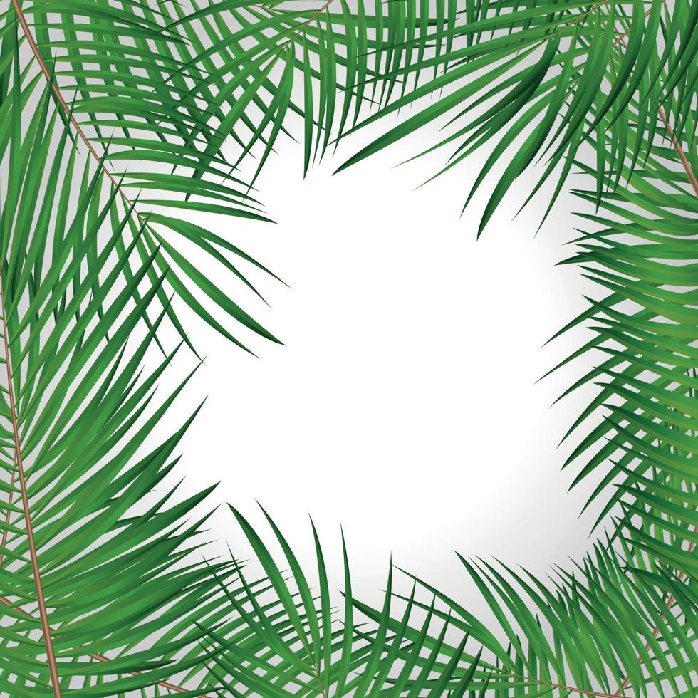 cornice con foglia di palma sfondo vettoriale illustrazione isolata
