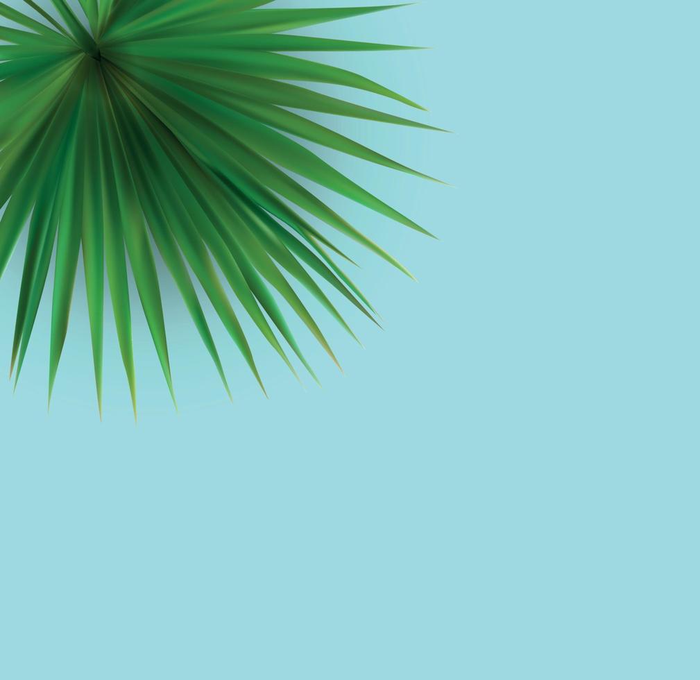 bellissimo sfondo tropicale di foglia di palma. illustrazione vettoriale