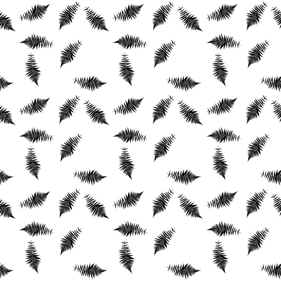 sagoma in bianco e nero di libistones fogliare di palma cinese, meridionale. modello senza soluzione di continuità. illustrazione vettoriale. vettore