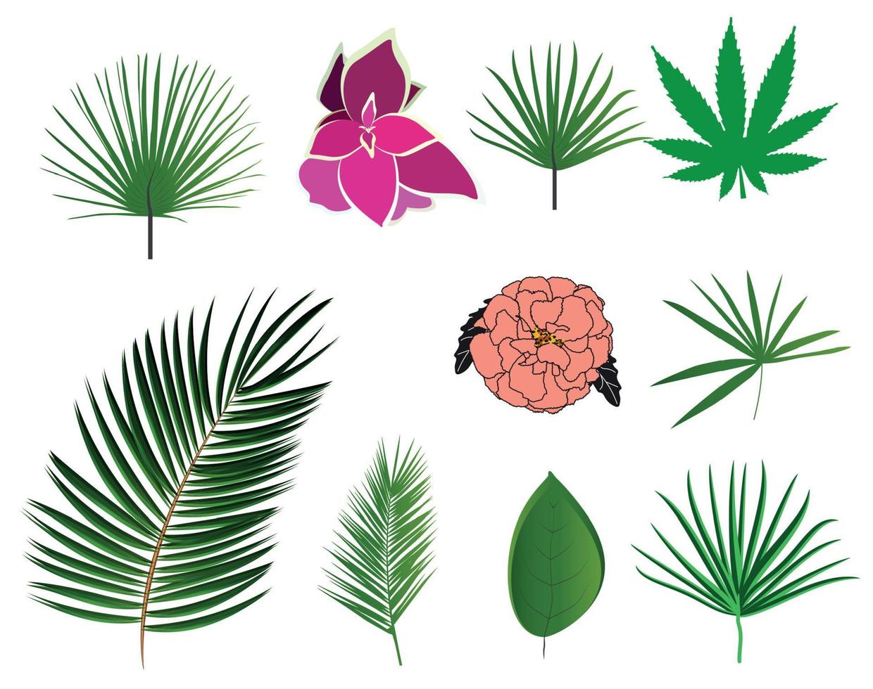 foglie verdi fresche naturali e fiori. impostare isolato su sfondo bianco. illustrazione vettoriale. vettore