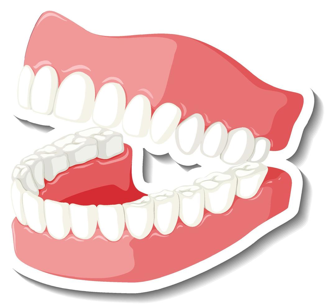 denti con modello gengivale su sfondo bianco vettore