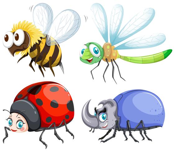 Diversi tipi di insetti che volano vettore