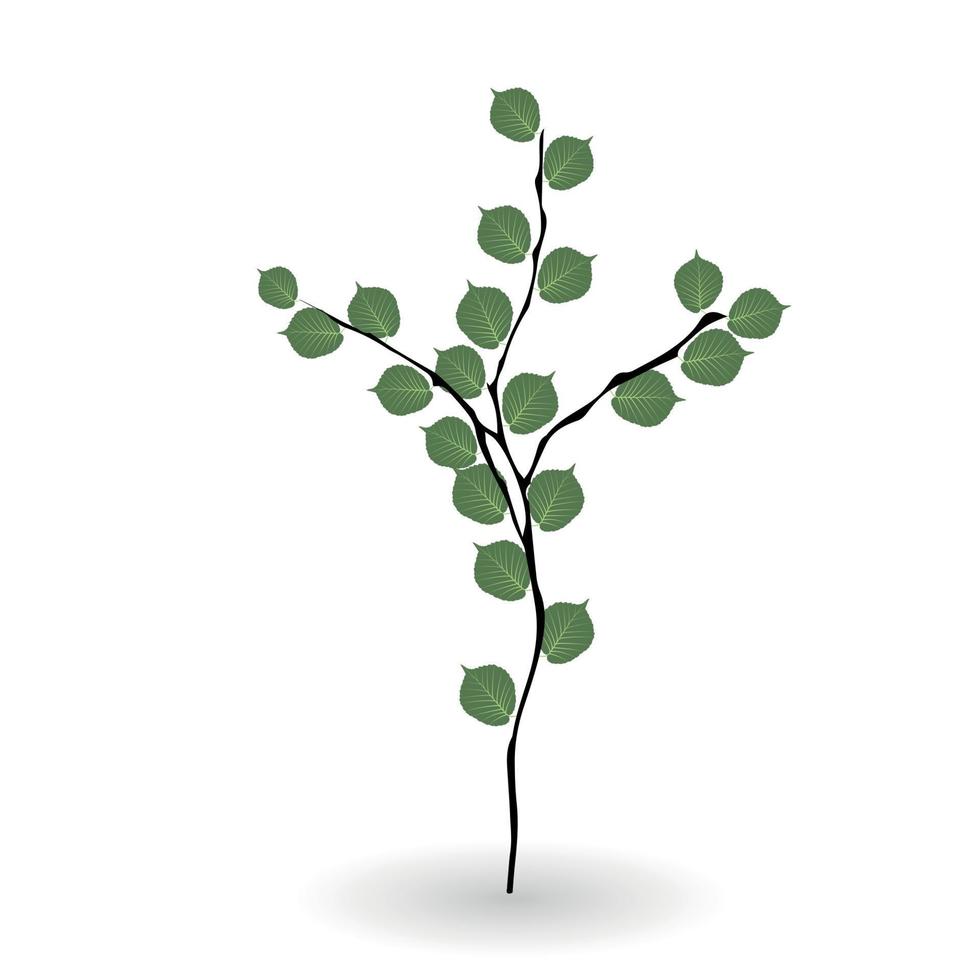 foglie verdi naturalistiche colorate sul ramo. illustrazione vettoriale. vettore