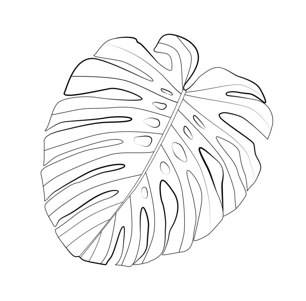 foglia di monstera tropicale astratta. illustrazione vettoriale