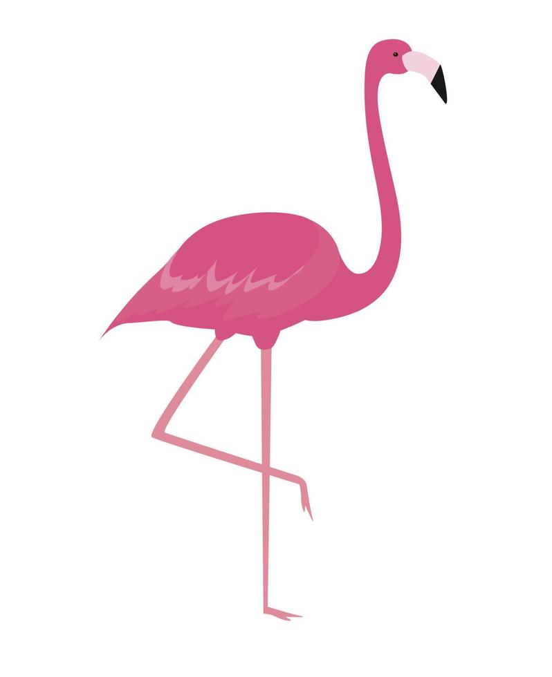 fenicottero rosa cartone animato colorato su una gamba si erge su sfondo bianco. illustrazione vettoriale