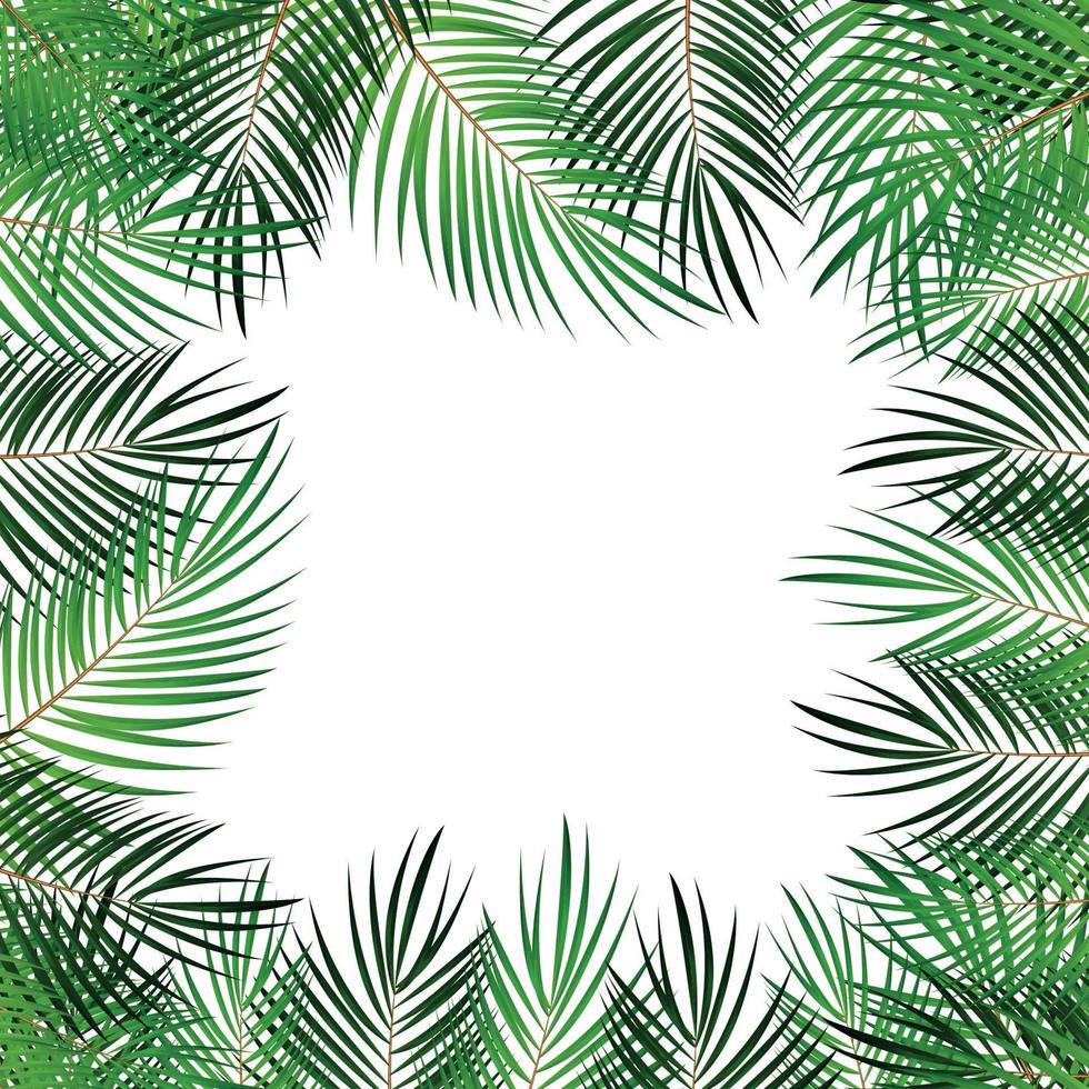 sfondo vettoriale foglia di palma con illustrazione cornice bianca