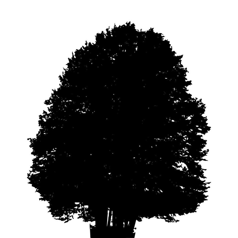 sagoma in bianco e nero di albero deciduo, i cui rami si sviluppano nel vento. illustrazione vettoriale. vettore