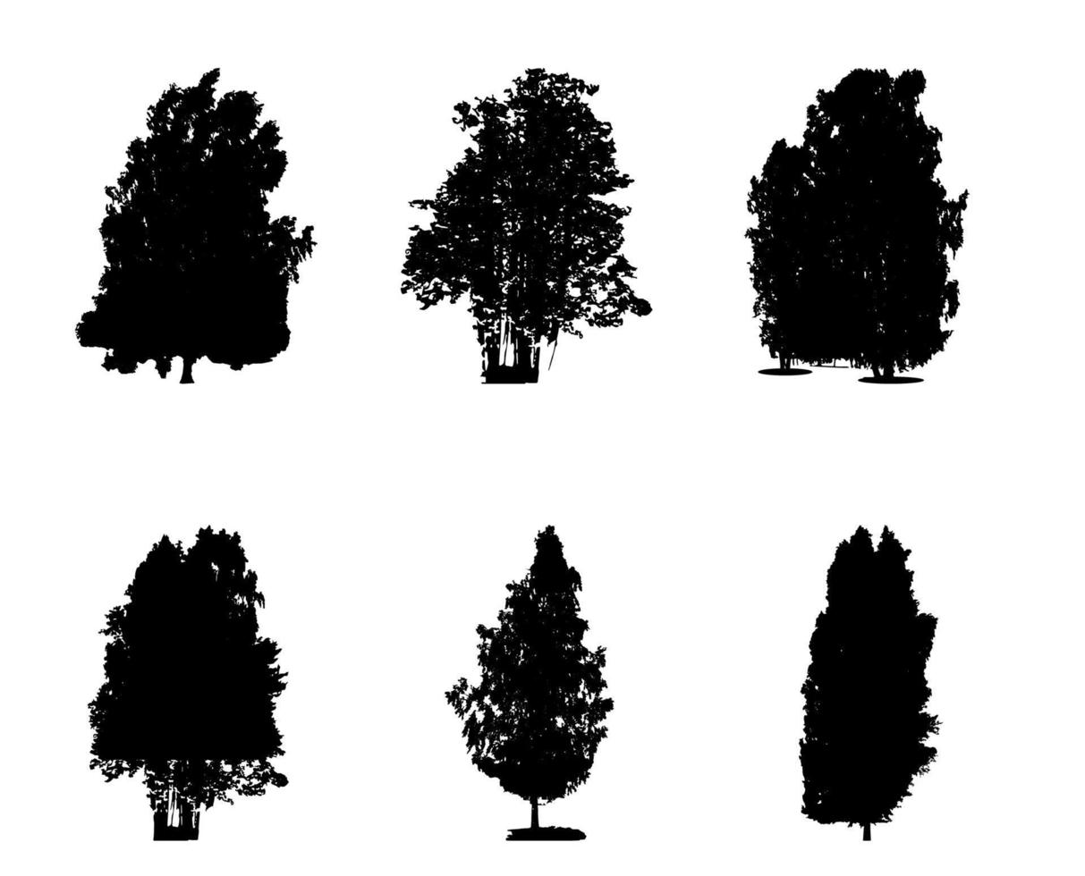 insieme di silhouette in bianco e nero di albero a foglie decidue, i cui rami si sviluppano nel vento. illustrazione vettoriale. vettore