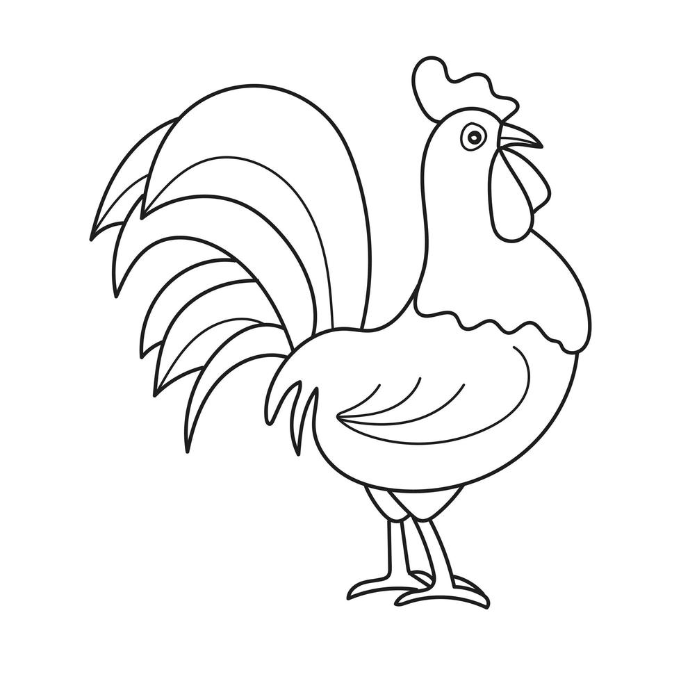 pagina da colorare contorno del gallo dei cartoni animati. libro da colorare vettoriale per bambini