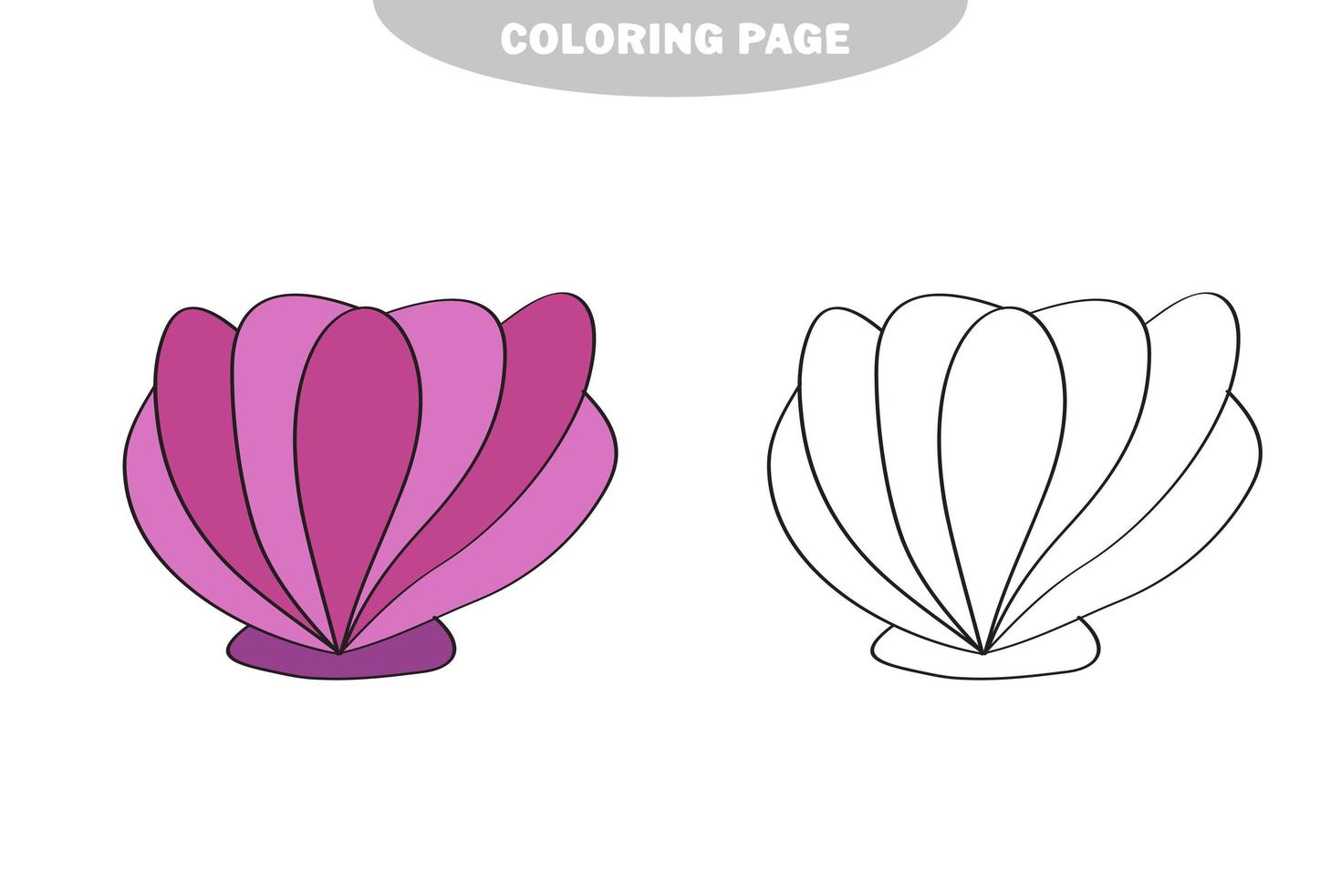 semplice pagina da colorare. linea disegnata conchiglia su sfondo bianco isolato vettore