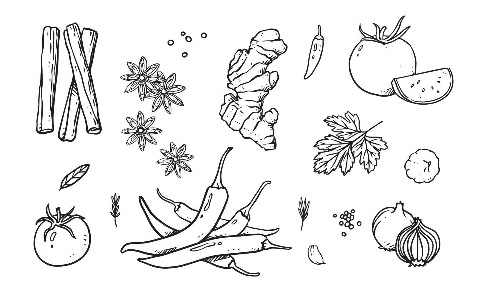 set di verdure, frutta e spezie illustrazione vettoriale disegnata a mano. cibo sano disegnato con line art per il design dei materiali