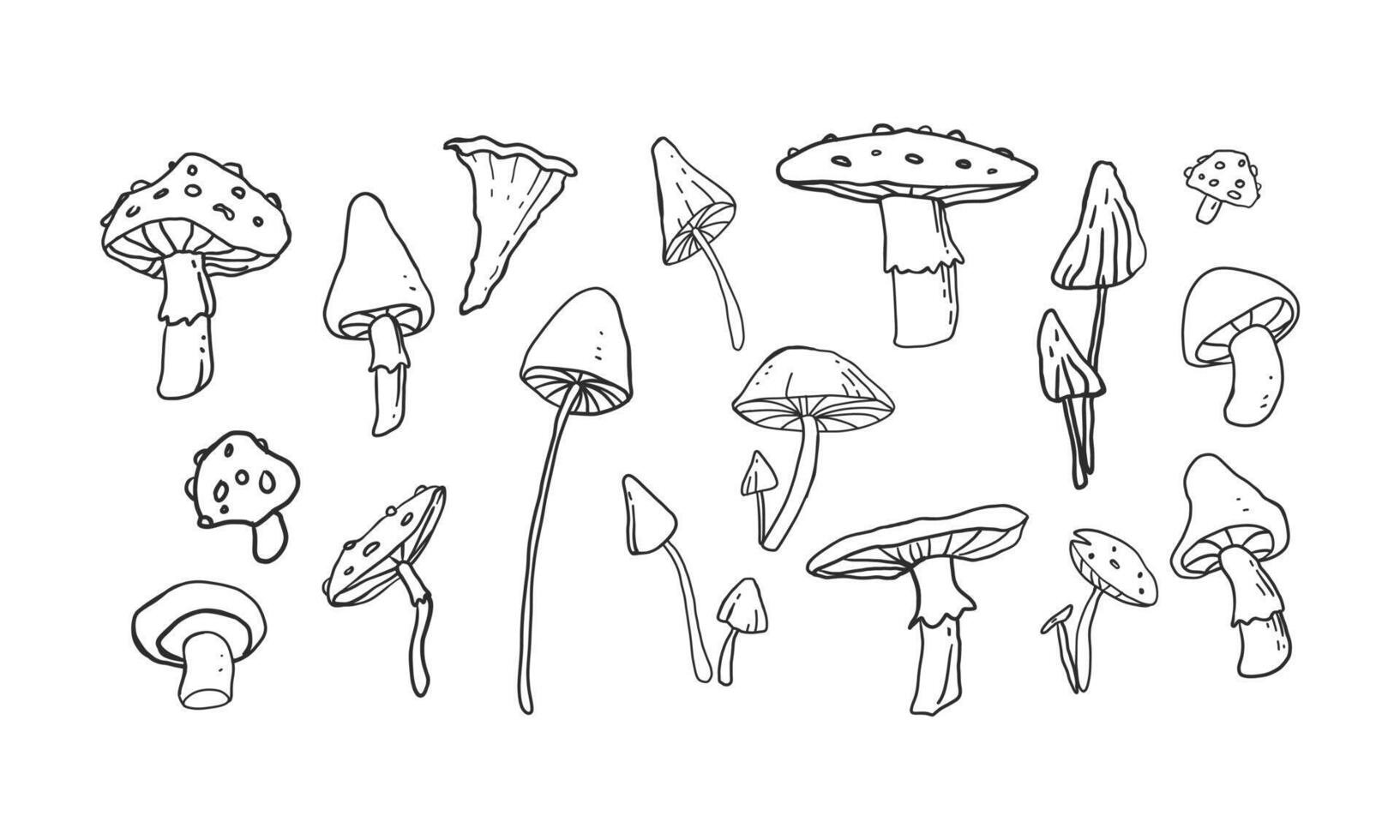 varie raccolte di illustrazioni di funghi in linea art. cartone animato doodle disegnato a mano illustrato utilizzando una linea semplice. insieme di elementi isolato su priorità bassa bianca. vettore