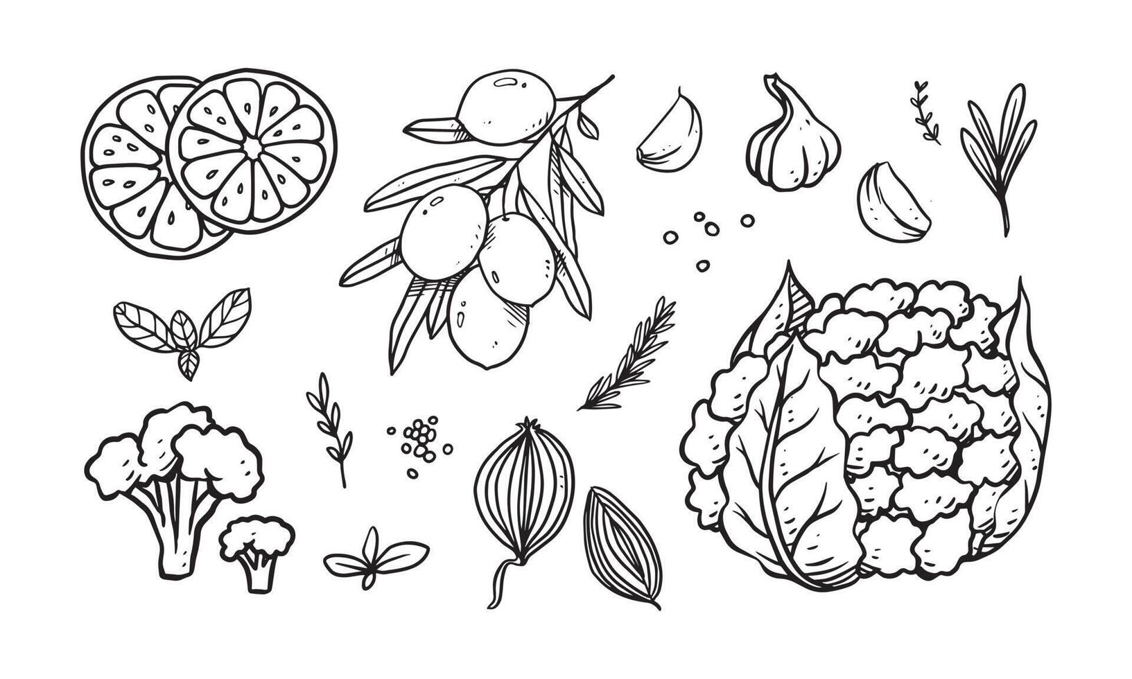 set di verdure, frutta e spezie illustrazione vettoriale disegnata a mano. cibo sano disegnato con line art per il design dei materiali