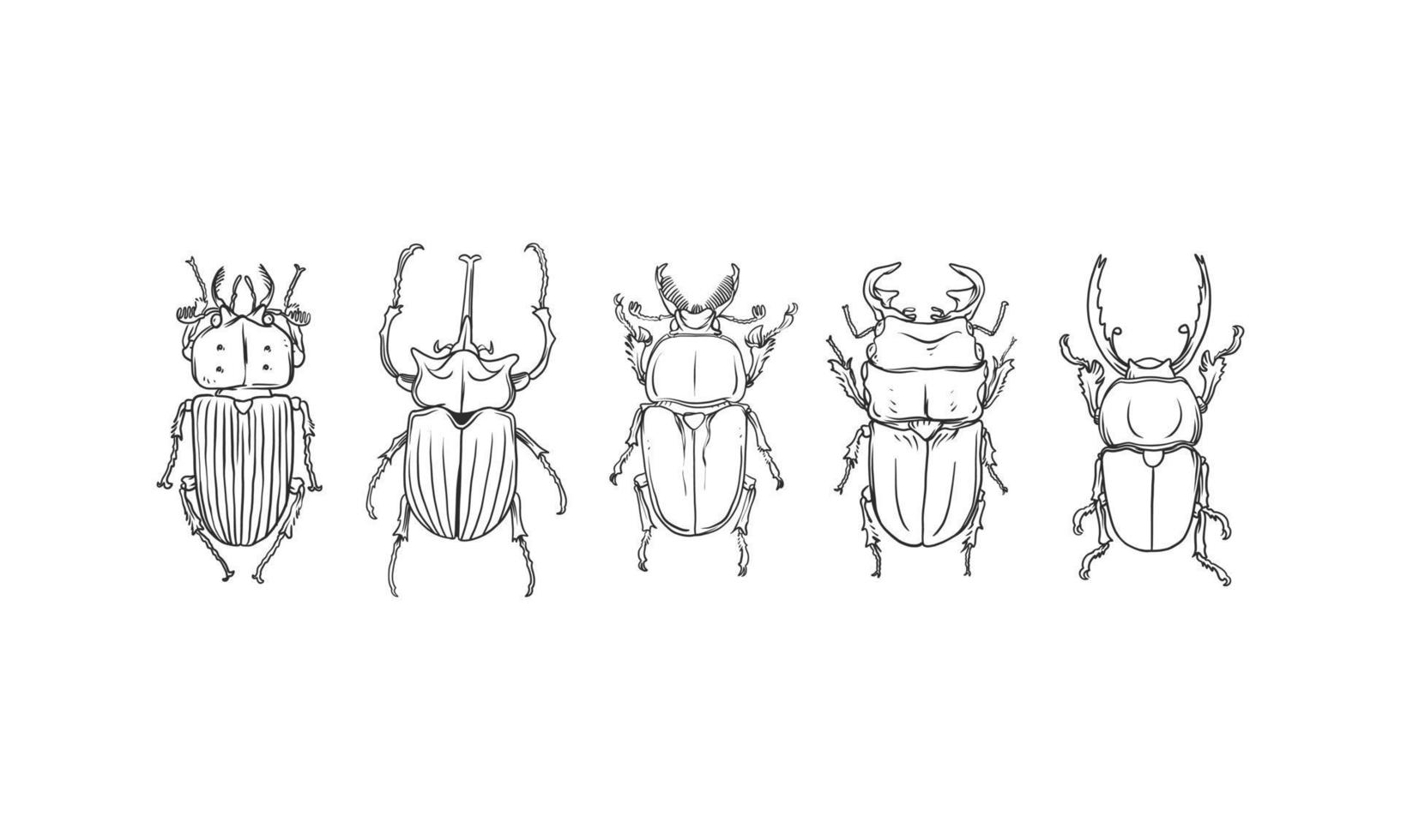set di scarabeo mano bozzetto vettore, diversi coleotteri illustrazione su sfondo isolato. vettore