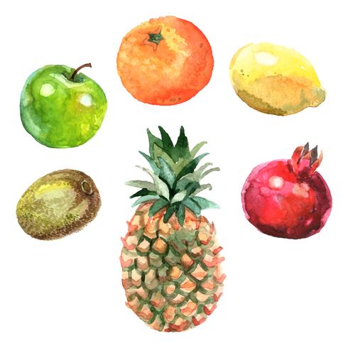 Set di frutti ad acquerelli vettore